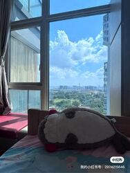 The Vision (D5), Condominium #558397221
